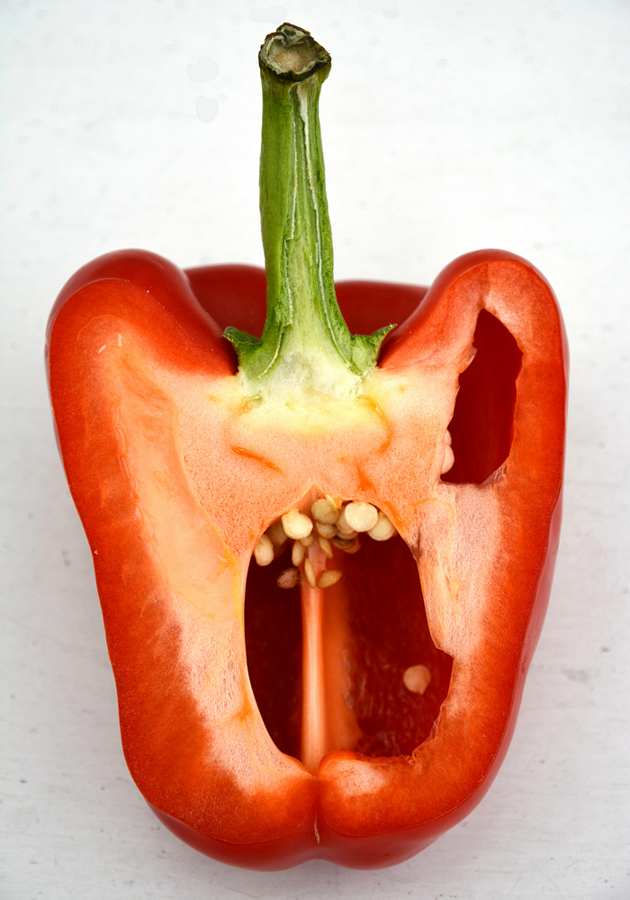 Capsicum