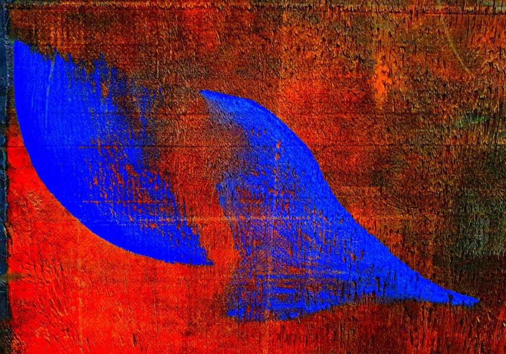 blau-rot V