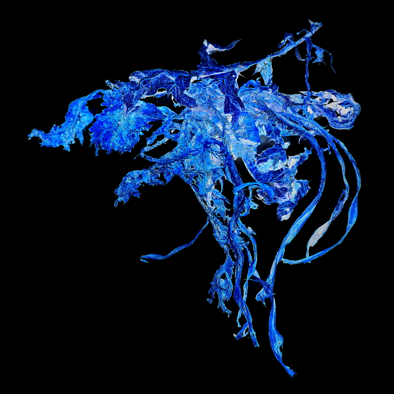 blau-schwarz V