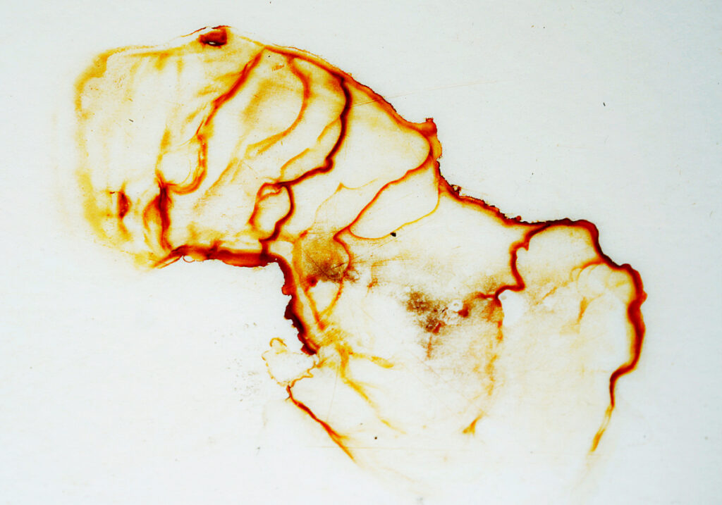 rost-rot