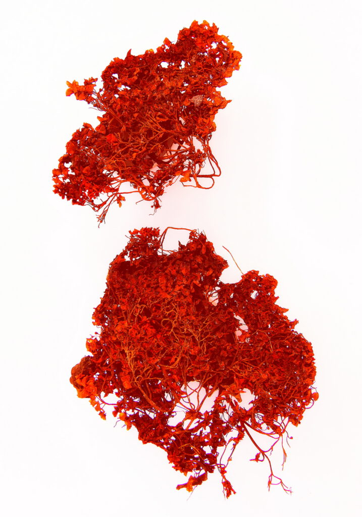 rot II
